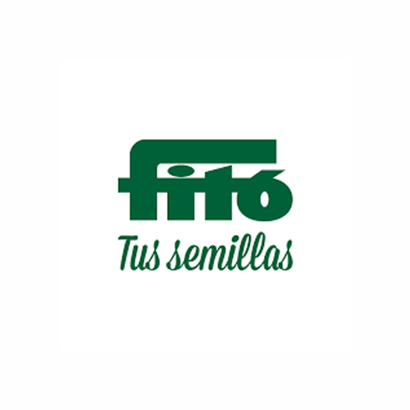 Fitó