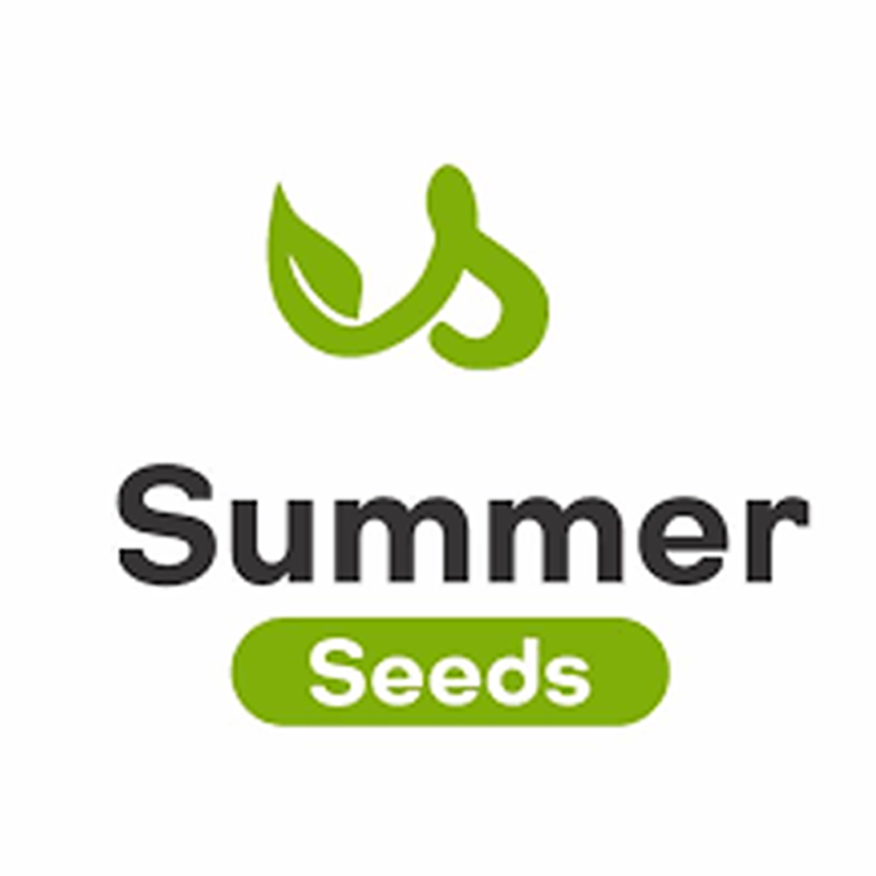 Summer Seed